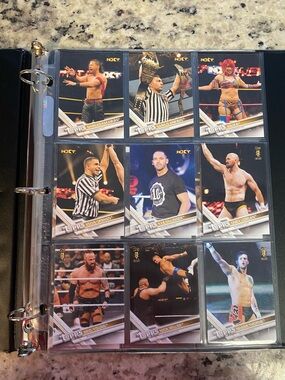 Lot of 13 WWE NXT Topps Wrestling Trading Cards